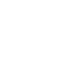pneu